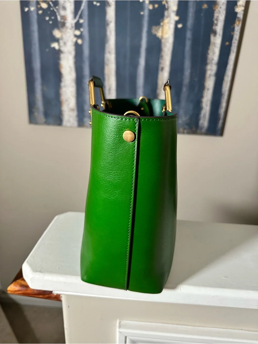 Amazon sleek green